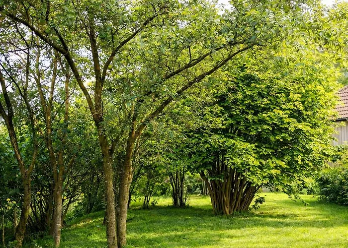 Feriehus Huus An't Doerpsdiek Krummhörn
